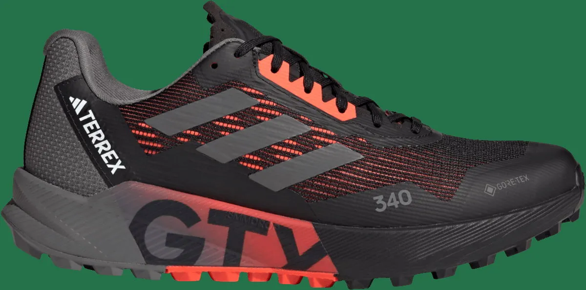 adidas Performance TERREX AGRAVIC FLOW 2 GTX