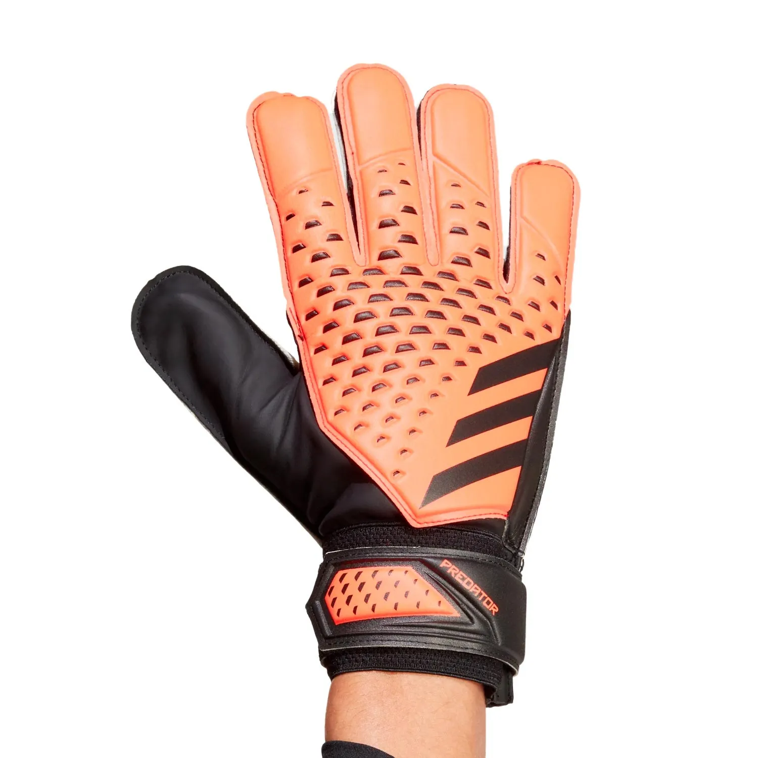 adidas Predator Training