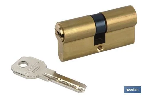 Cilindro Seguridad Llave Normal Leva Larga