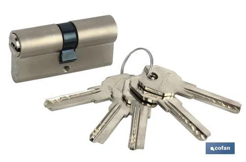 Cilindro Seguridad Llave Normal Leva Larga