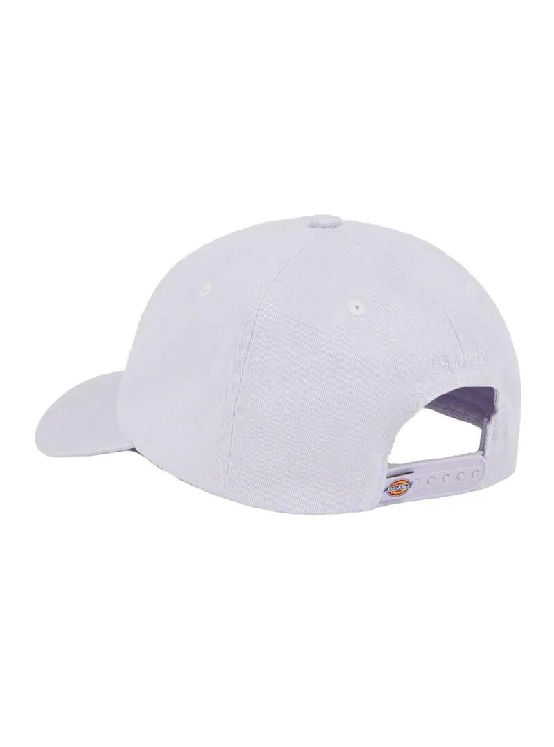 Gorra Unisex Dickies Hardwick Lila
