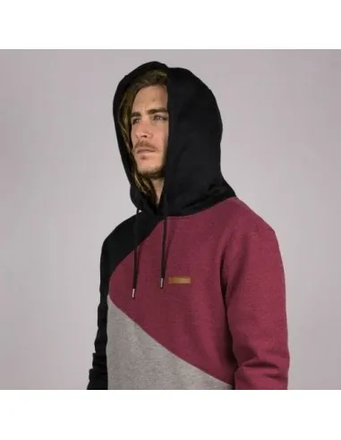 Sudadera Hydroponic Niño con capucha Skate Golden Gate HD Ref. 18547Y Gris granate y negro